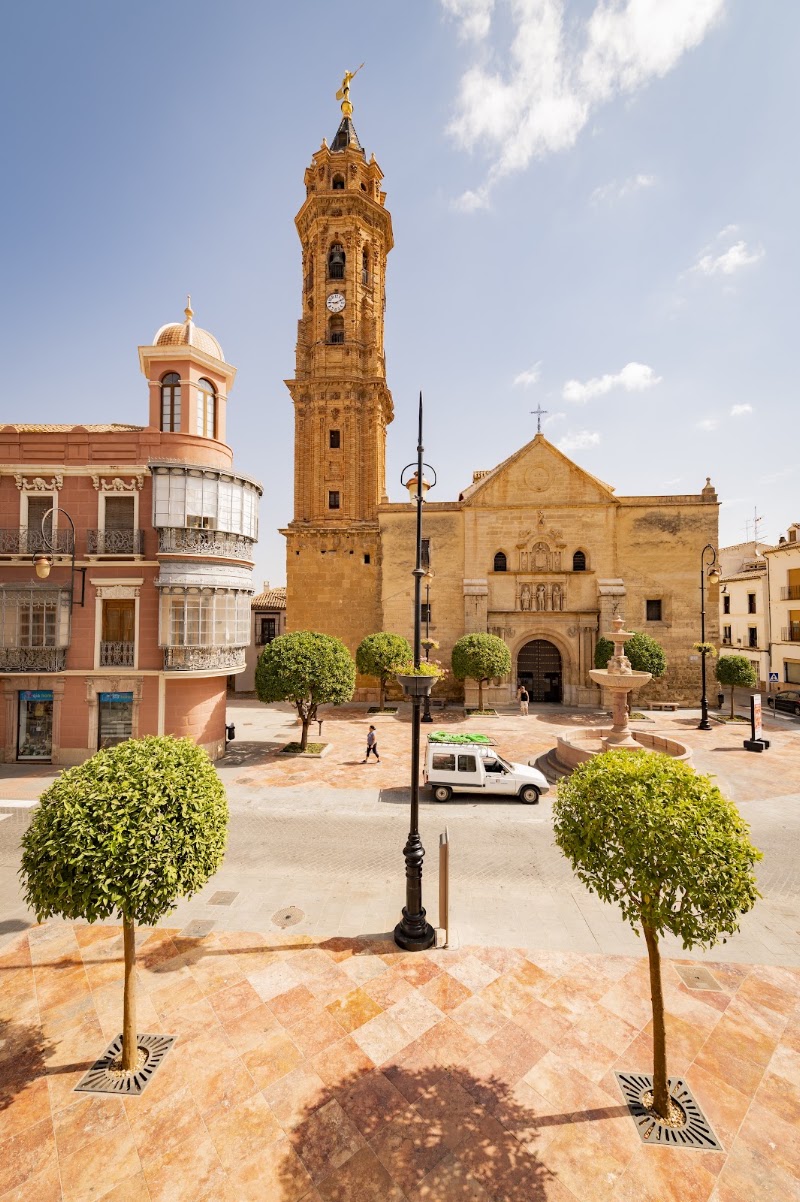 Hotel Manzanito